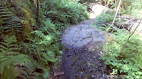 VOTR Lewis River Trail