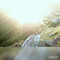 Must Watch Video
