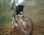 Must Watch Video