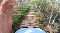 Double Down (fish Creek)