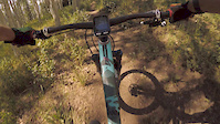 NailDriver Deer Valley