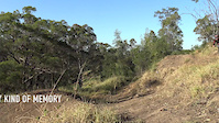 IR8 Green Valley 2018