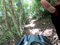 Abejas de Montaña