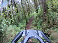 Adventure park