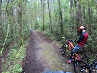 Adventure park
