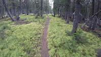 Sheep Creek switchbacks