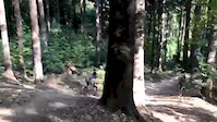 Must Watch Video