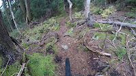 Menzies Mtn 1