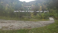 Vegliato e parte finale di Malga Cuarnan (ps1)...