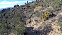 AZT dropping into Gila River canyons