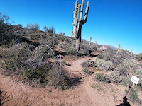 desperado trail from coyote trail to renagade...