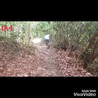 Must Watch Video