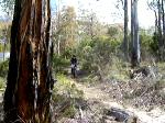 my freeride track