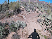 outer limits trail.gold canyon. arizona.