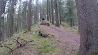 Vildbasserne i Rold DH