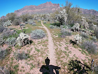 TD Trail. Gold Canyon. Arizona.