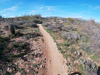 Divide Trail. Northbound. Scottsdale.