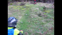 Bear Back Origins - 2014
