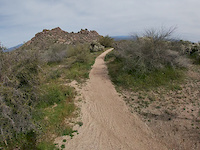 Rock Knob Trail. Mcdowell Mountain Regional Park.