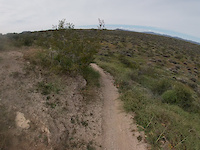 Granite Trail. Mcdowell Mountain Regional Park.