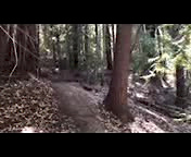 santa cruz flow trail