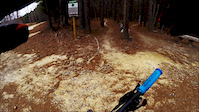 Blueberry Downhill at Pocahontas State Park