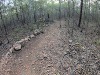 Toogoom Trails