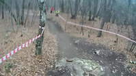 crasik
