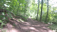 FPV Lonely Wolf trail