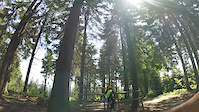 MTB ZONE Bikepark Geisskopf Freeride