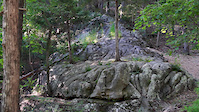 Must Watch Video