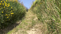 Fail on trail 12