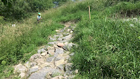 Rockgarden GMA Hidde (6)