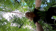 Golovec Trails & Blueberry Hill