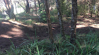 Loamy fun