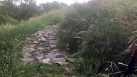 GMA longest rock garden