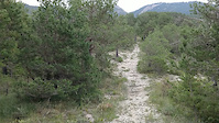 Nick on Clarà