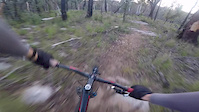 Pogo single trail