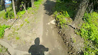Must Watch Video