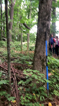 Trail Work Day -- ASU Watauga Living Learning...