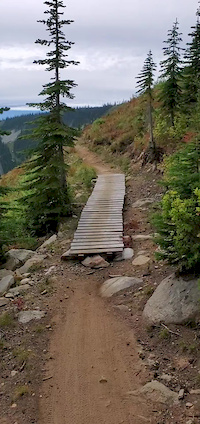 Foreign Exchange Student's First Time Mountain...