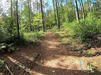 Boardwalk Bypass Makwa Trail