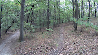 whyte trail