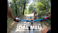 Mi e semblato di vedere due gatti sul DALMEI