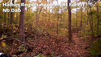 Halton Region Agreement Forest: No Dab