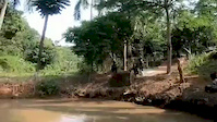 Must Watch Video
