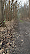 Trail in Durme river valley