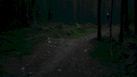 IN TO THE MIST