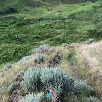 Secret of Nimh climb