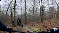 How to Properly Brake to Avoid Trees